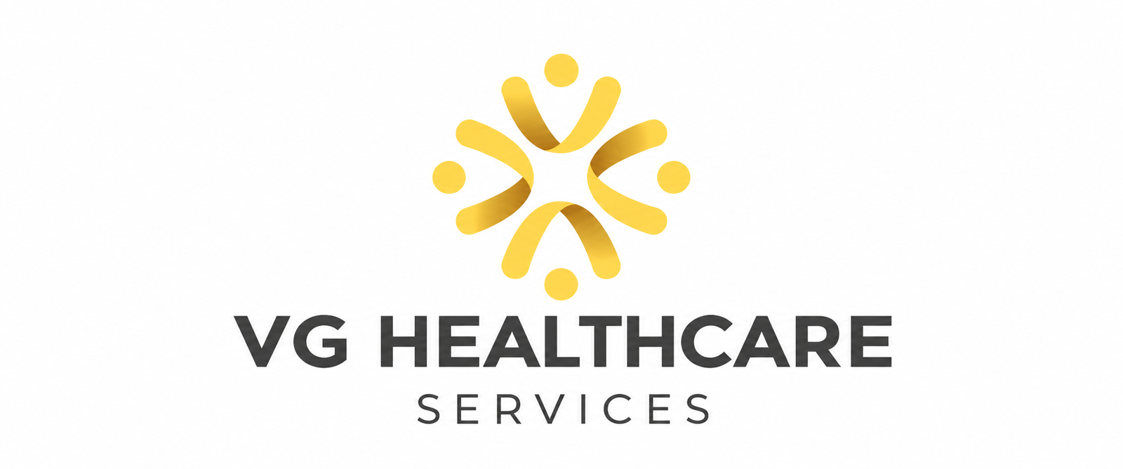 VG Healthcare Services